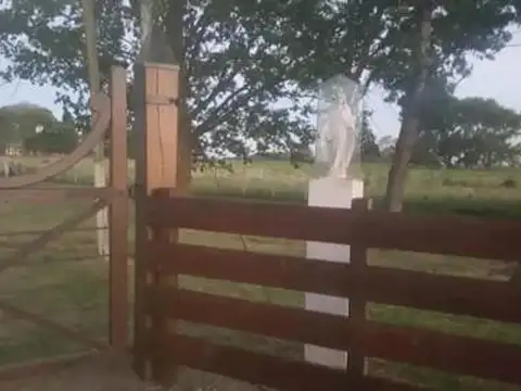 Venta Campo 15 Hect&aacute;reas En Pergamino!