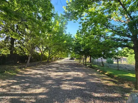 Terreno en Venta en Chacras de Coria, USD 105.000