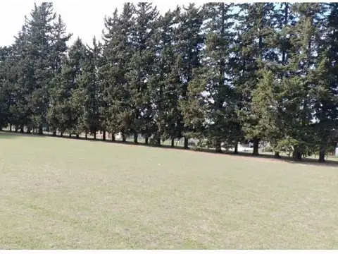 Terreno en Venta de 6166,0 m2