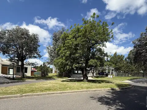 Terreno en Venta 50  mts Frente