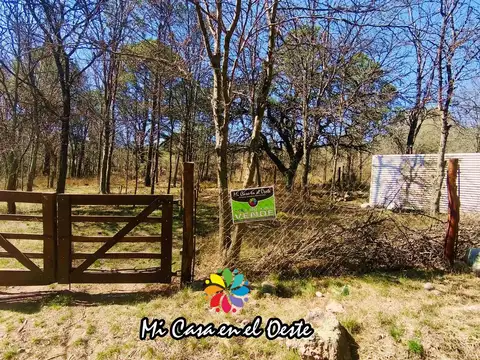 Venta Terreno 1.390m² con Contenedor y Arboleda Centenaria – Villa Samaritana, Casa Grande – Córdoba