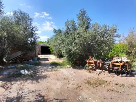 FINCA EN VENTA PALMIRA - SAN MARTIN - MENDOZA