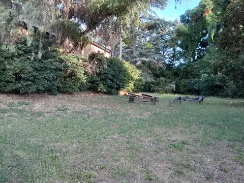 Terreno en Venta, FOT 0.8