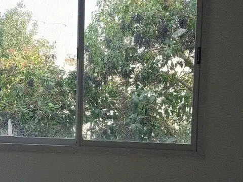 Pasaje Juan Esteban Martinez 2200, Piso 1