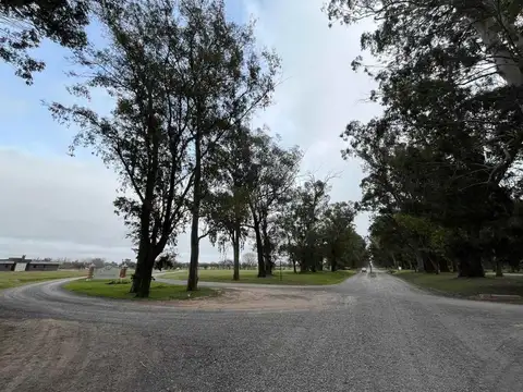 Terreno en Venta de 1294,0 m2