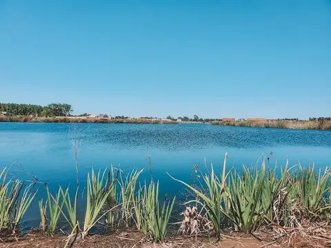 Lote CON PROYECTO en Venta en Santa Ana, Villanueva 100