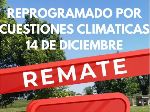 Ultimos 15 Lotes en Hale