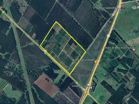 VENTA QUINTA CÍTRICA CONCORDIA