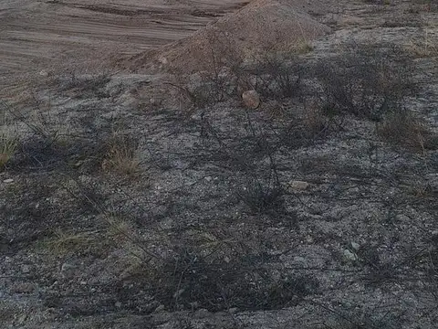 Terreno en Venta 19  mts Frente