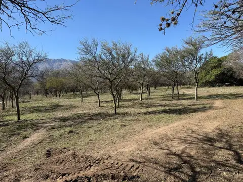 Terreno en Venta en Las Chacras, USD 35.000