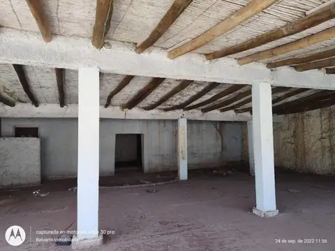 Pte. Carlos Saúl Menem