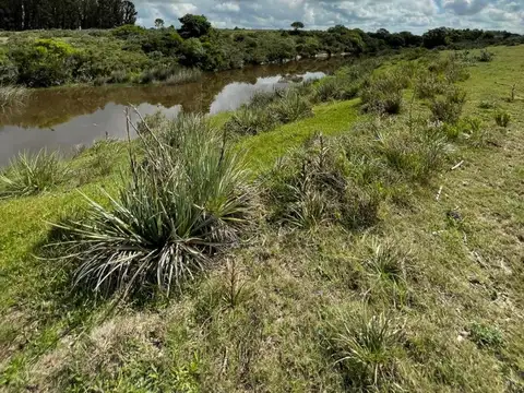 RUTA 9 Km.156 camino lindero a Madellin