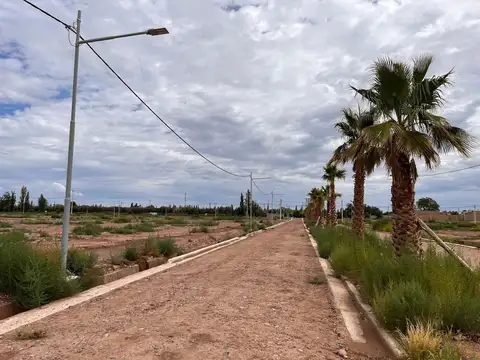 Terreno en Venta 24  mts Fondo