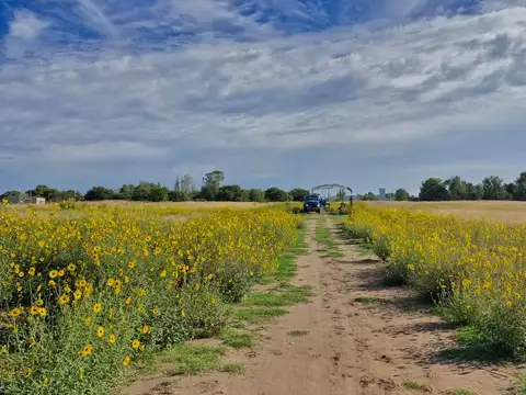 Terreno en Venta en Santa Rosa, USD 29.000