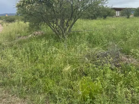 Terreno en Venta en Arroyo de los Patos, USD 15.000