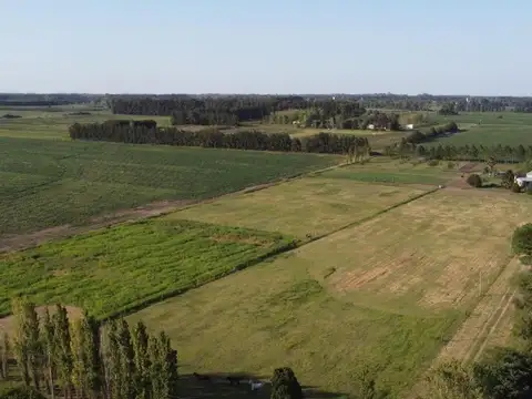 Chacra en venta de 5 hectareas a 120 minutos de cap. federal