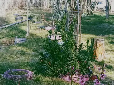 Las Torcasitas s/n 100