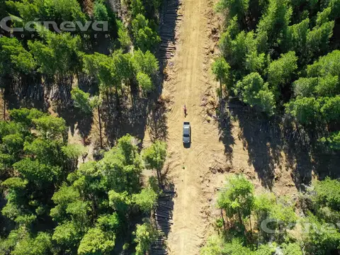 Mallin ahogado - El Bolson