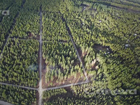 Oportunidad Terreno en Comarca Andina