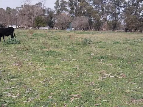 CHACRA EN VIRREY DEL PINO