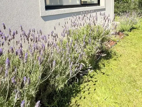 Casa en Venta en San Sebastian, USD 245.000