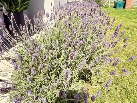 Casa 4 ambientes con 3 baños