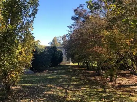 Lote En Barrio Brujas, Pilar, Barrio