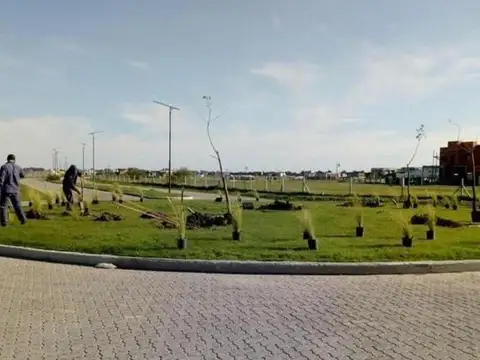 Terreno en Venta de 709,0 m2