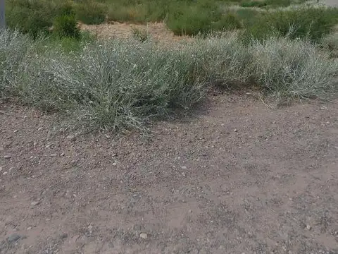 Terreno en Venta de 500,0 m2