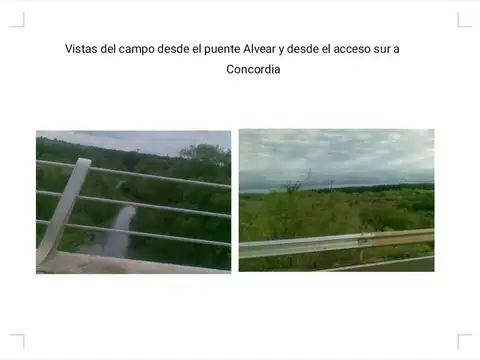 CAMPO VENTA 133 HECTAREAS CONCORDIA ENTRE RIOS VILLA ADELA