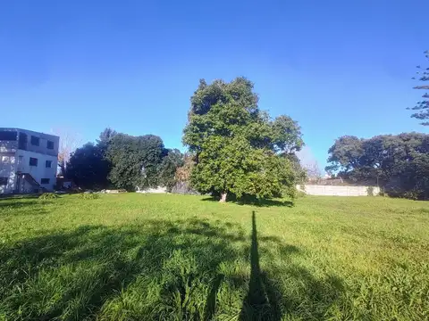 Calle 37 entre 126 y 127 600