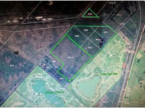 Campo - Canning (E. Echeverria)