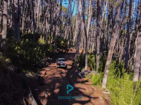 VENTA Terreno UF 11A, Apto 2 UF, 2.779 m2 con vista al Lago en Barrio Exclusivo COTA MIL