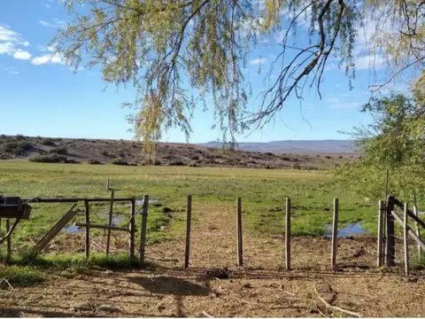 VENTA DE CAMPO EN PERITO MORENO