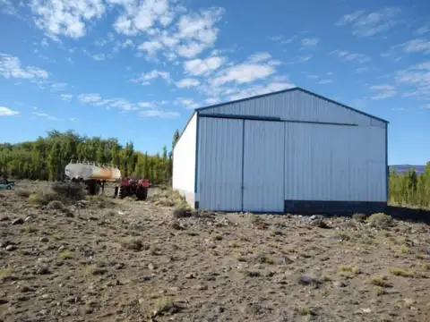 VENTA DE CAMPO EN PERITO MORENO