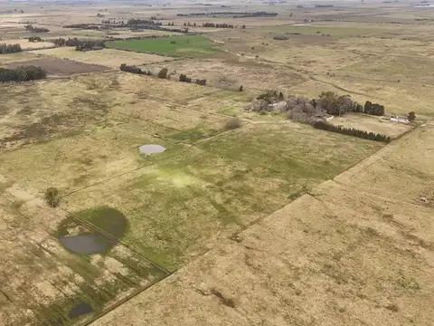 VENTA LOTE 21,45 HECTAREAS, LA PLATA