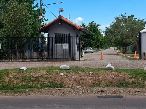 Videla Castillo 2000