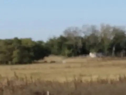 Campo en Venta de 5  ha