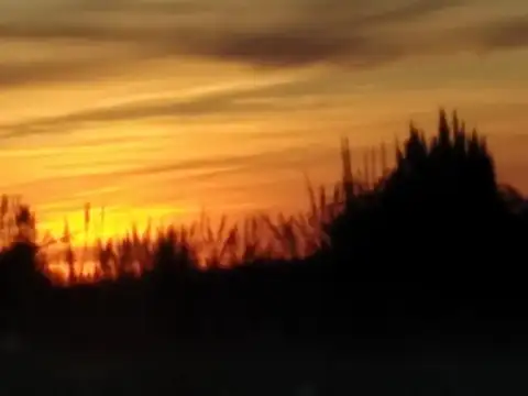 AL LADO DE LA ESCUELA  Nº 9