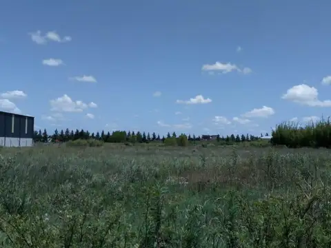 Terreno en Alquiler 80  mts Frente