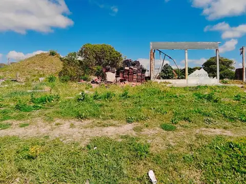 Felix u. Camet al 3600