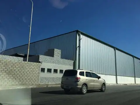 Galpon en Alquiler 277  mts Fondo