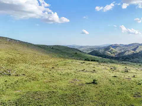 ruta 12 y camino vecinal