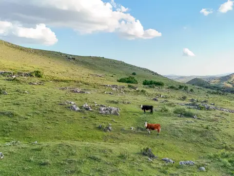 Campo de 95 ha en venta ruta 12 Maldonado/Lavalleja