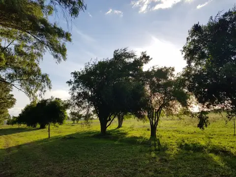 Campo en venta - 141 Hectáreas - Etcheverry