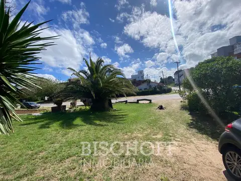 Nuestras malvina y del lido