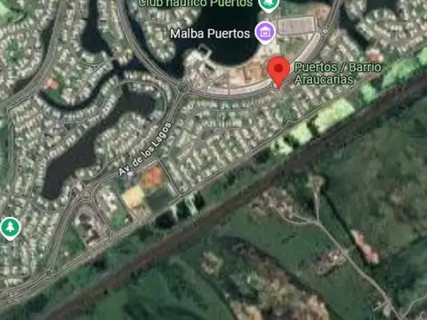 Araucarias - Puertos del Lago