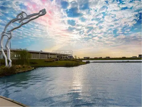 Araucarias - Puertos del Lago