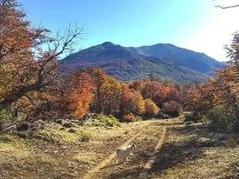 Terreno en Venta de 920000,0 m2