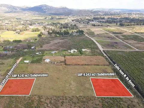 Juan M. de Rosas 100